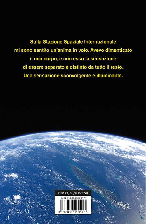 Paolo Nespoli, Farsi spazio