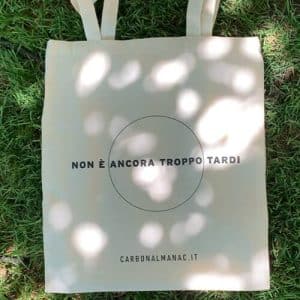 Shopper Carbon Almanac