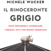 Il rinoceronte grigio