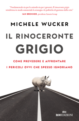 Il rinoceronte grigio