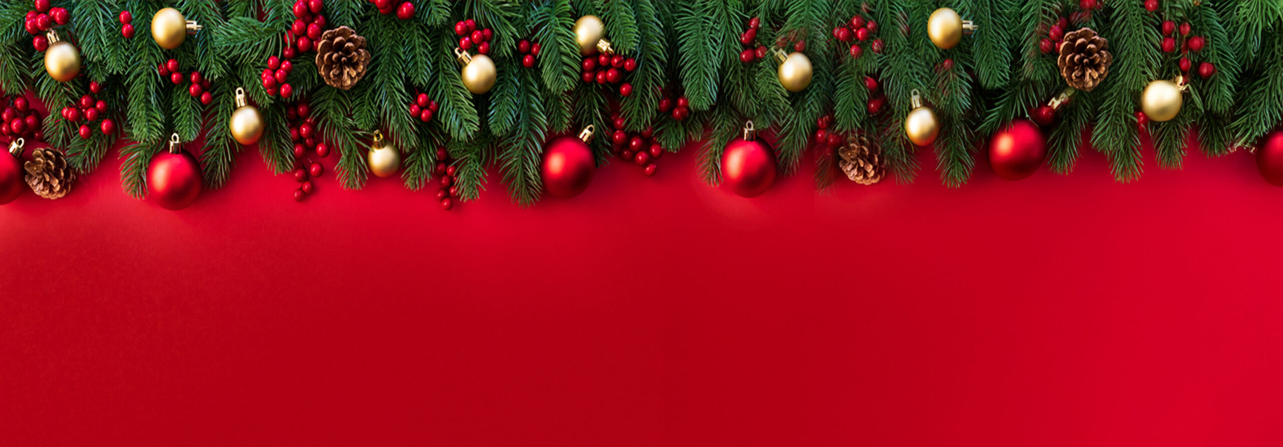 Quest'anno a Natale regala ispirazione. Scopri le offerte